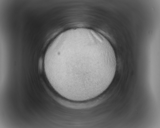 X0000086230014200704261905