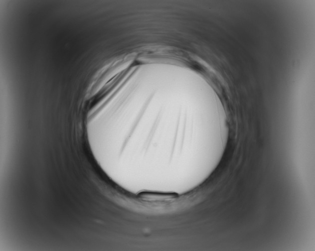 X0000086230015200704261905