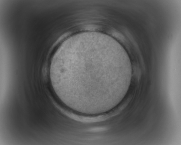 X0000086230016200704261905