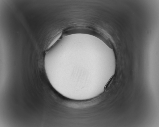 X0000086230017200704261905