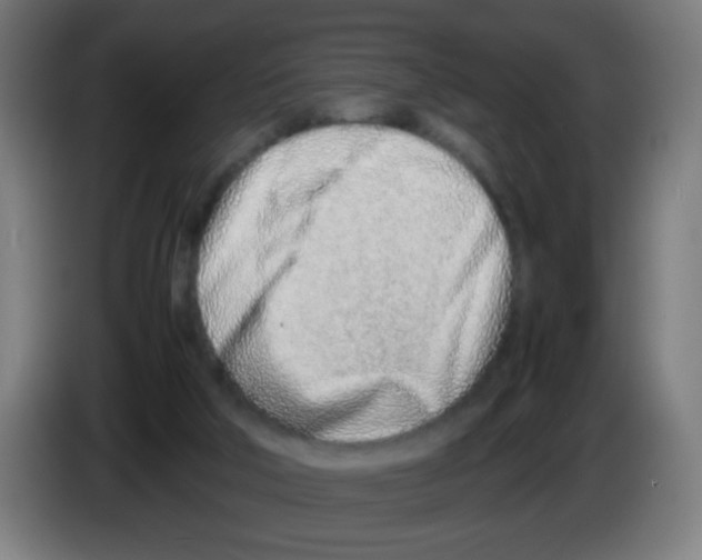 X0000086230018200704261905