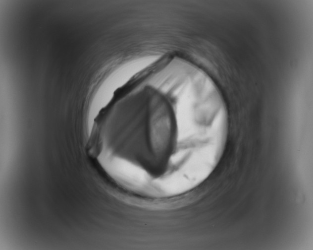 X0000086230019200704261905