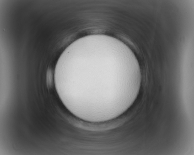 X0000086230022200704261905