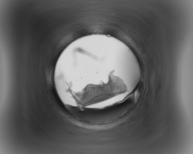 X0000086230023200704261905