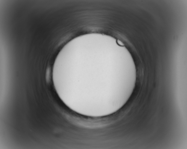 X0000086230024200704261905