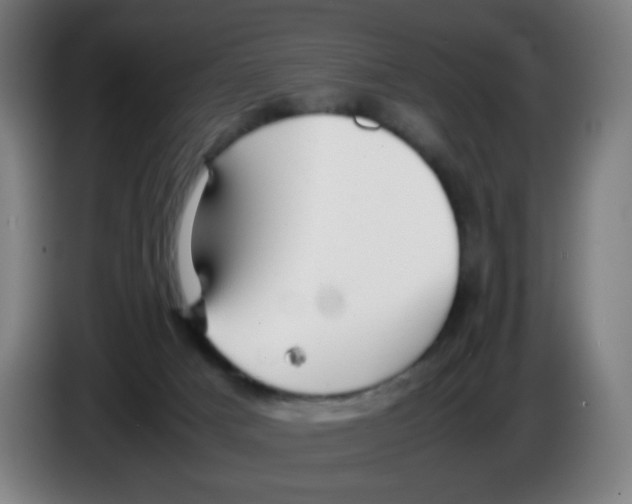 X0000086230025200704261905