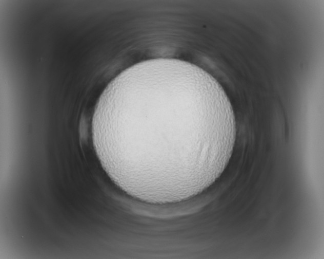 X0000086230026200704261905