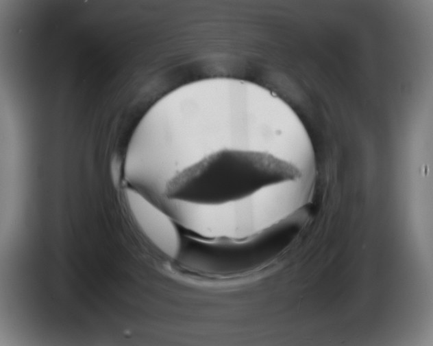 X0000086230027200704261905