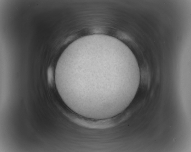 X0000086230028200704261905