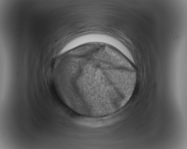 X0000086230029200704261905