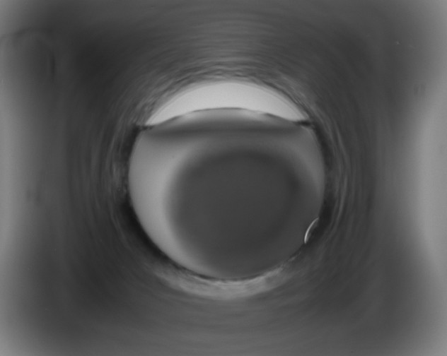 X0000086230031200704261905