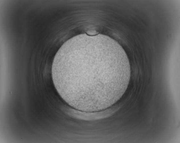 X0000086230034200704261905