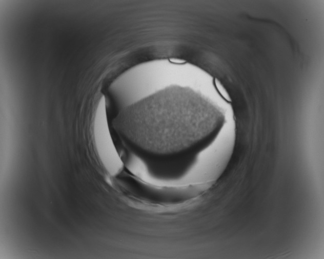 X0000086230035200704261905