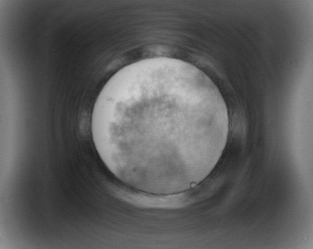 X0000086230036200704261905