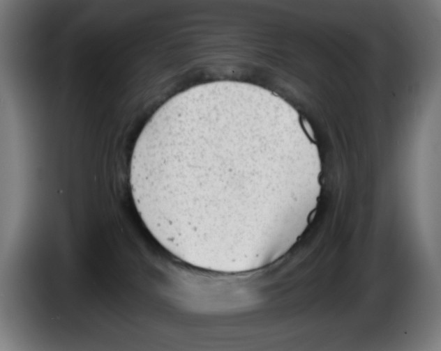 X0000086230040200704261905