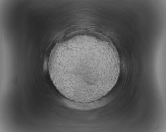 X0000086230042200704261905