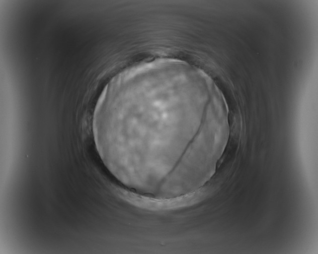 X0000086230043200704261905