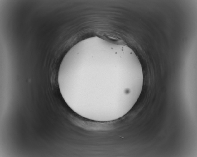 X0000086230044200704261905