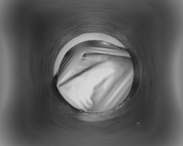 X0000086230045200704261905