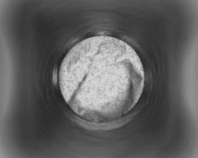 X0000086230046200704261905