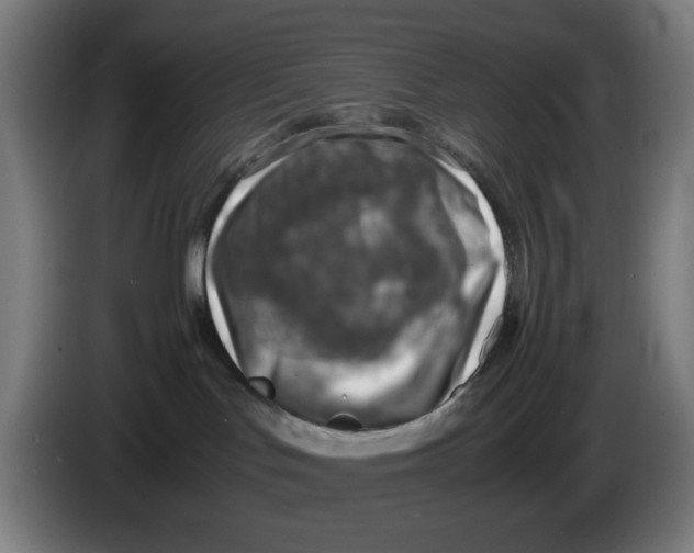 X0000086230047200704261905