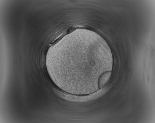 X0000086230048200704261905