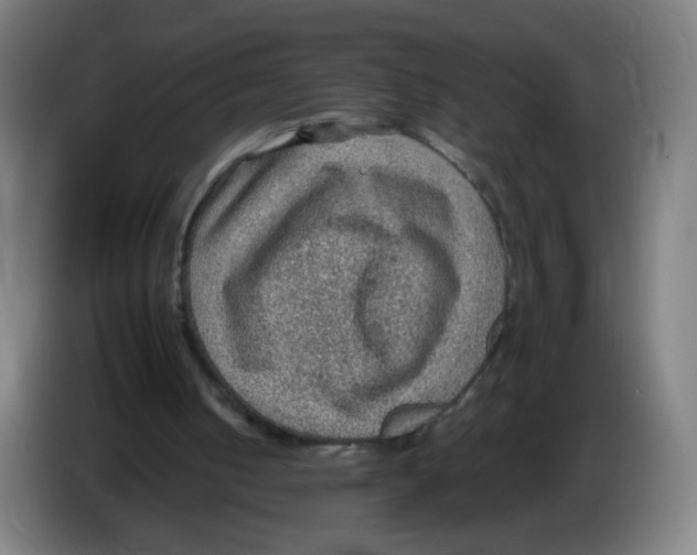 X0000086230050200704261904