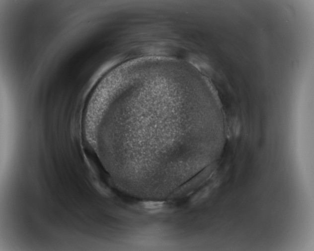 X0000086230052200704261904