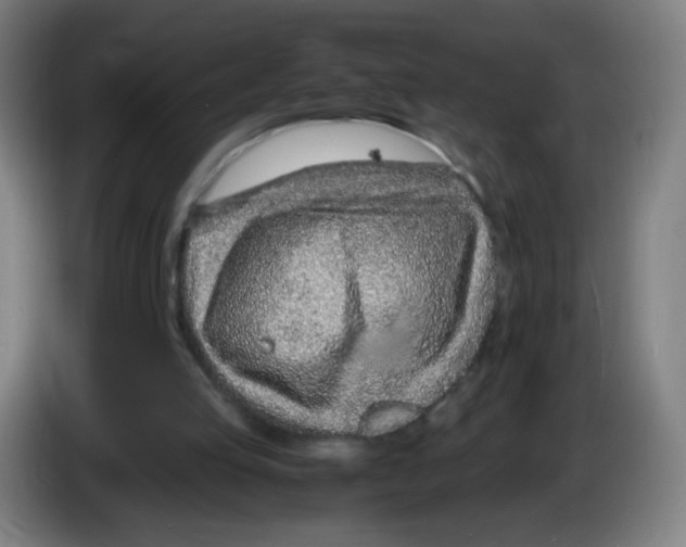 X0000086230053200704261904