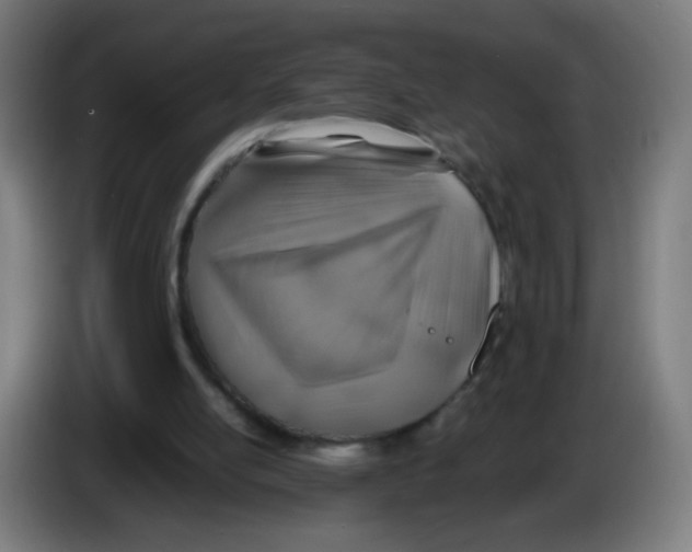 X0000086230054200704261904