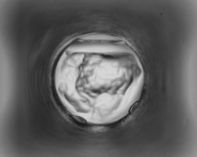 X0000086230055200704261904