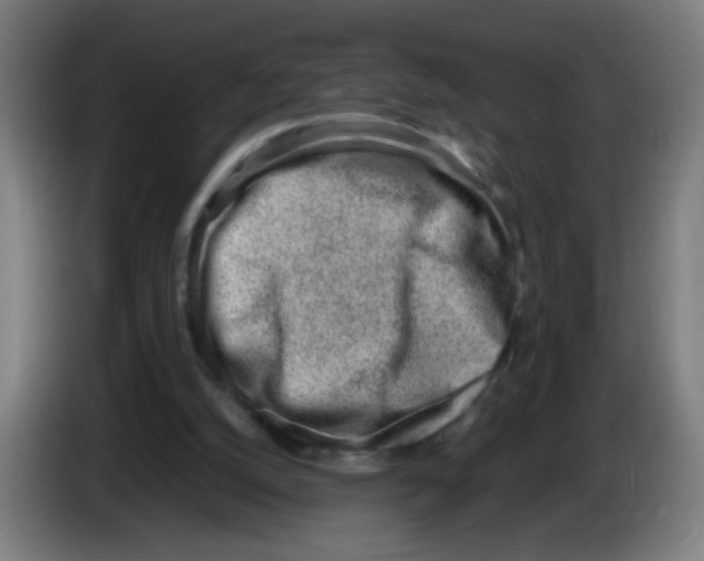 X0000086230056200704261904