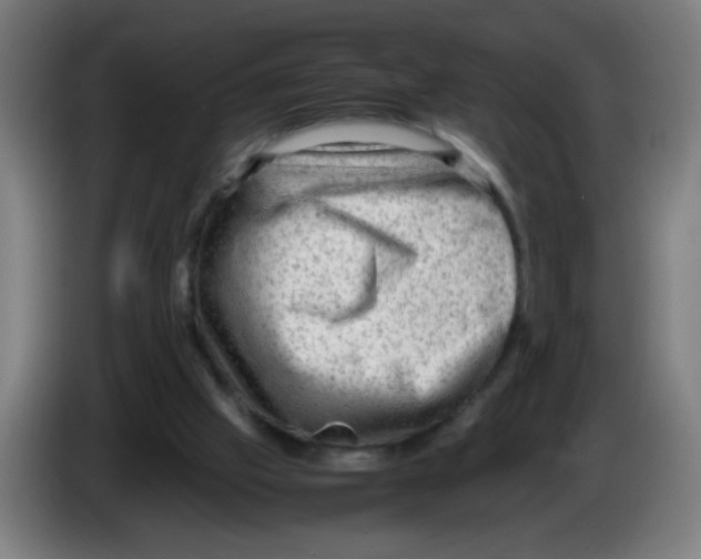 X0000086230057200704261904