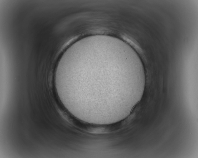 X0000086230058200704261904