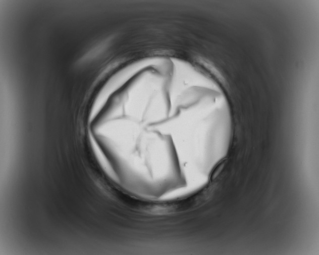 X0000086230059200704261904