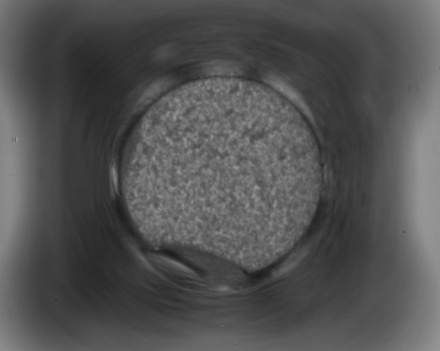 X0000086230061200704261904