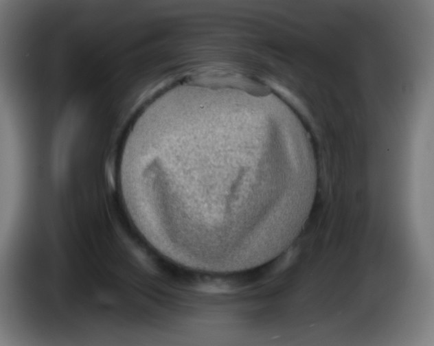 X0000086230062200704261904