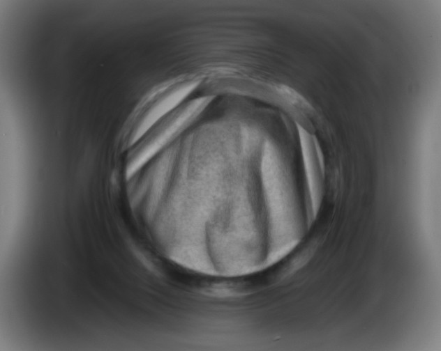 X0000086230064200704261904