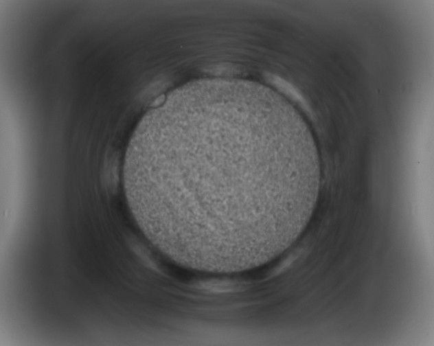 X0000086230065200704261904