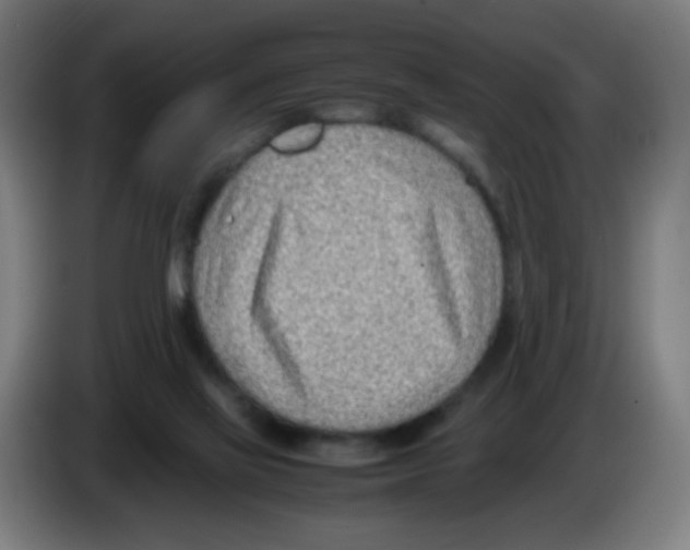 X0000086230069200704261904