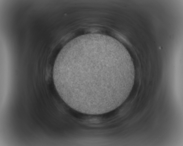 X0000086230073200704261904