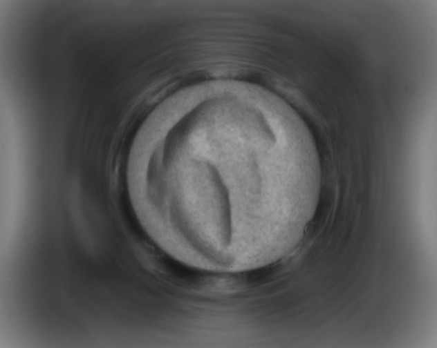 X0000086230074200704261904