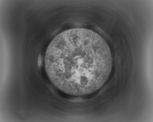 X0000086230075200704261904