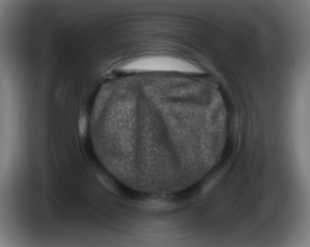 X0000086230076200704261904