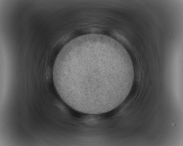 X0000086230077200704261904