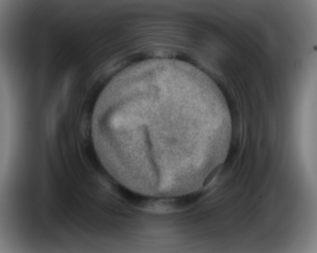 X0000086230078200704261904