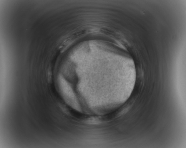 X0000086230080200704261904