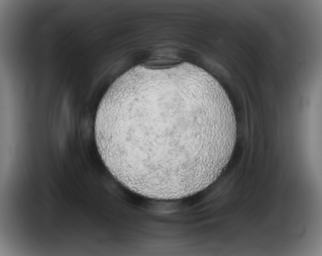 X0000086230081200704261904