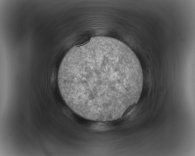 X0000086230082200704261904