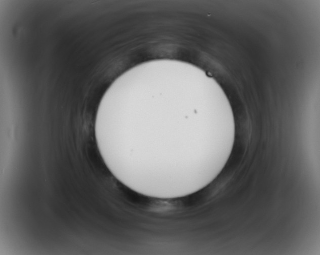 X0000086230083200704261904